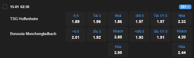 nhan-dinh-soi-keo-hoffenheim-vs-borussia-mgladbach-luc-02h30-ngay-15-1-2026-2