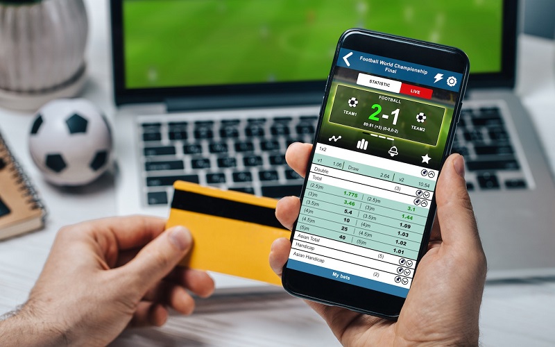 Tại Sao Cá �?ộ Bóng �?á Luôn Thua? Giải Mã Góc Khuất Từ Chuyên Gia